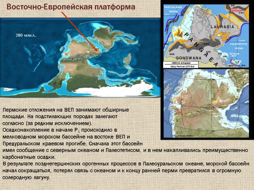 Восточно-Европейская платформа 280 млн.л.. Пермские отложения на ВЕП занимают обширные площади. На подстилающих породах